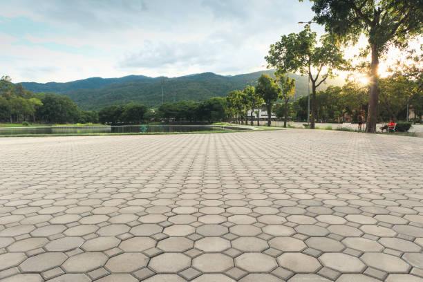 Best Permeable Paver Driveway  in Tazewell, VA